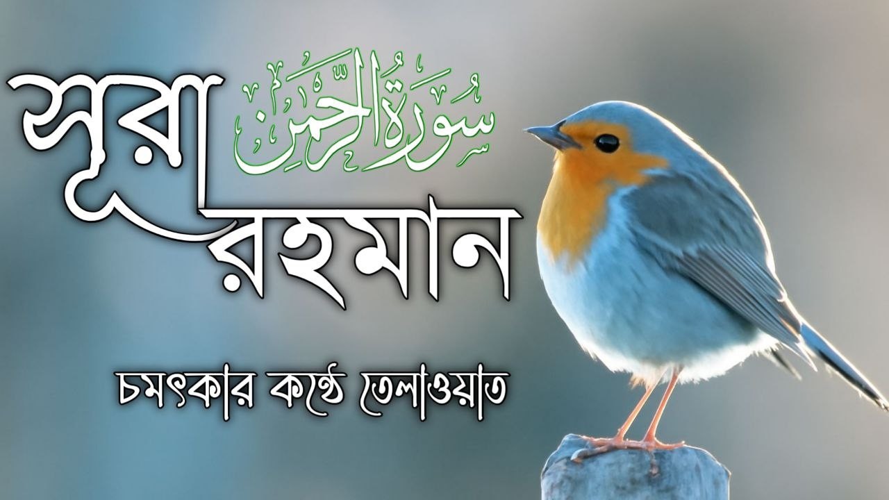 চমৎকার কন্ঠে সূরা আর রহমান (الرحمن) | Surah Rahman by Zain Abu Kautsar