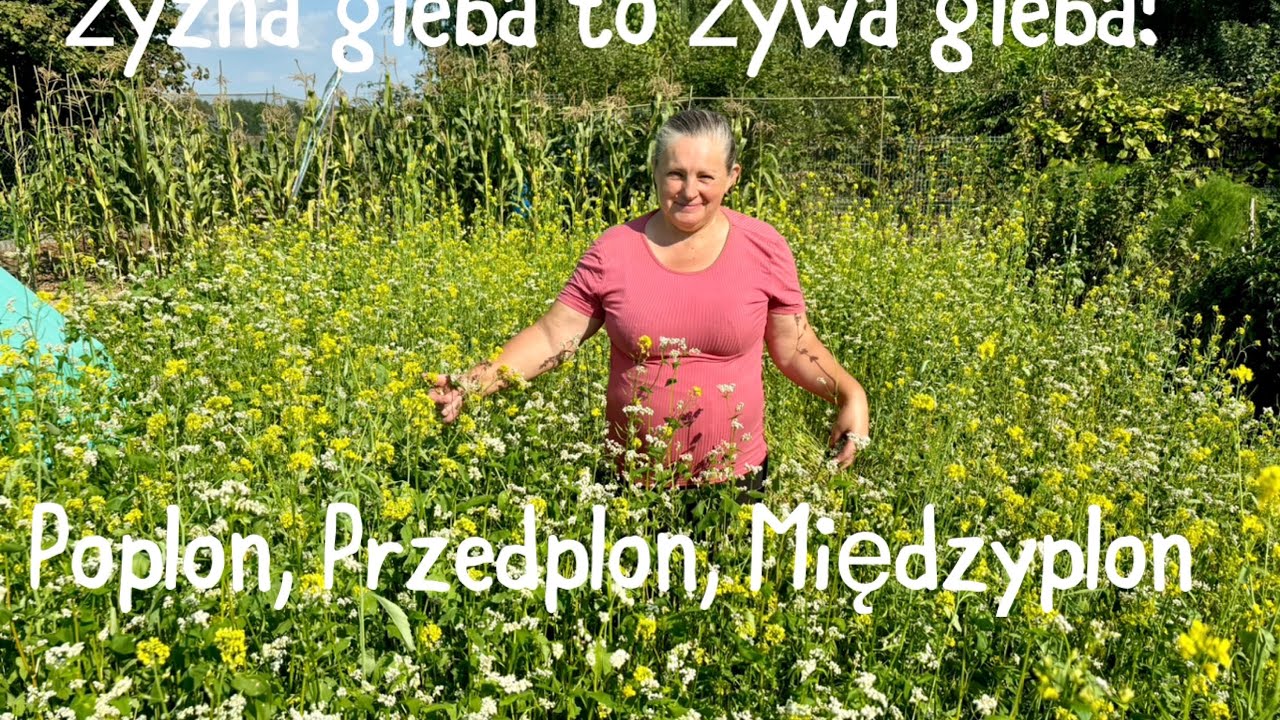 Żyzna gleba to żywa gleba! Poplon, Przedplon, Międzyplon - zależność agroekosystemów