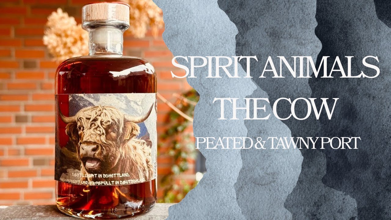 Spirit Animals - The Highland Cow