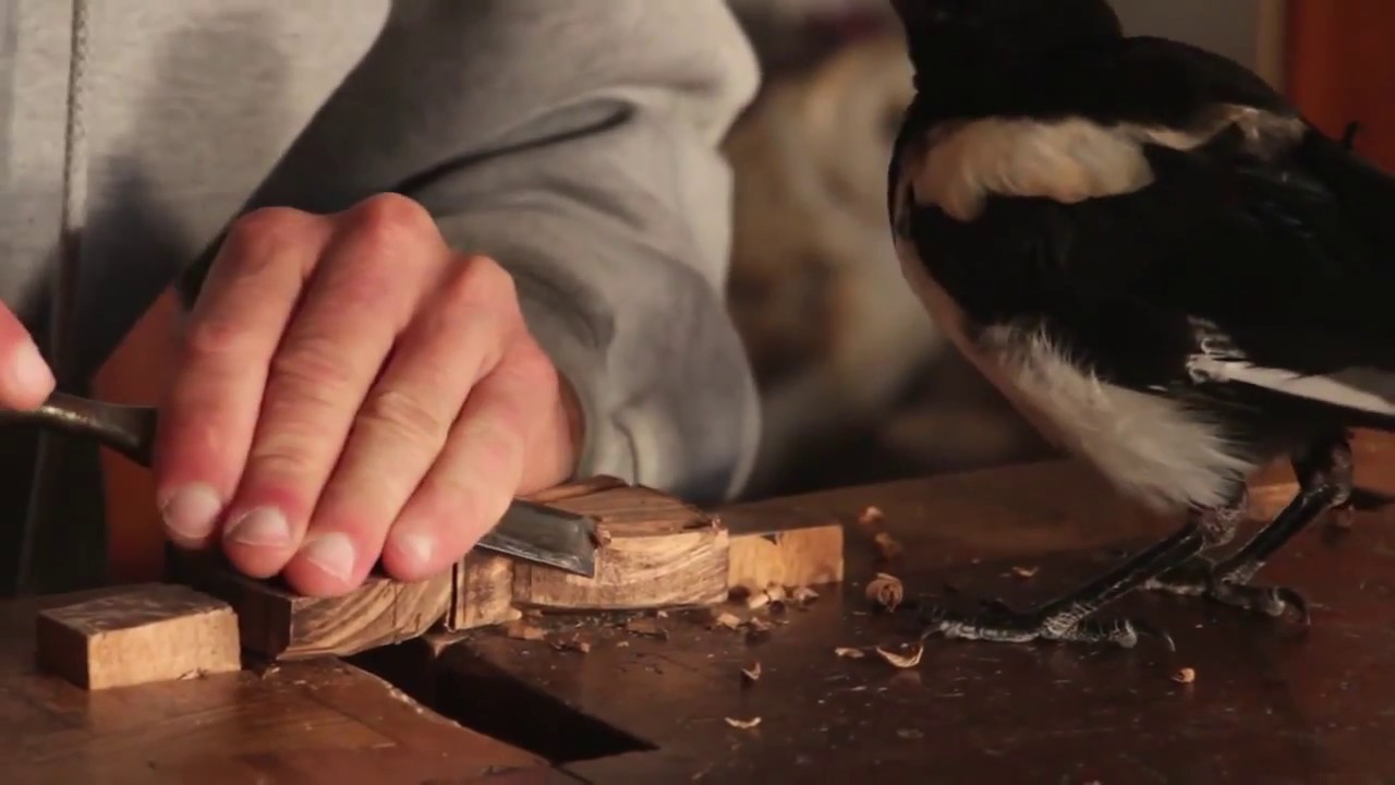 Simone Frabboni wood art - Interview