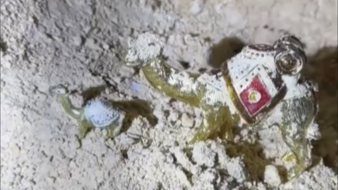 الزعيم يدخل الى البئر ويسحب جمال  من ذهب⚱️🐫🐫 عن طريق السحب