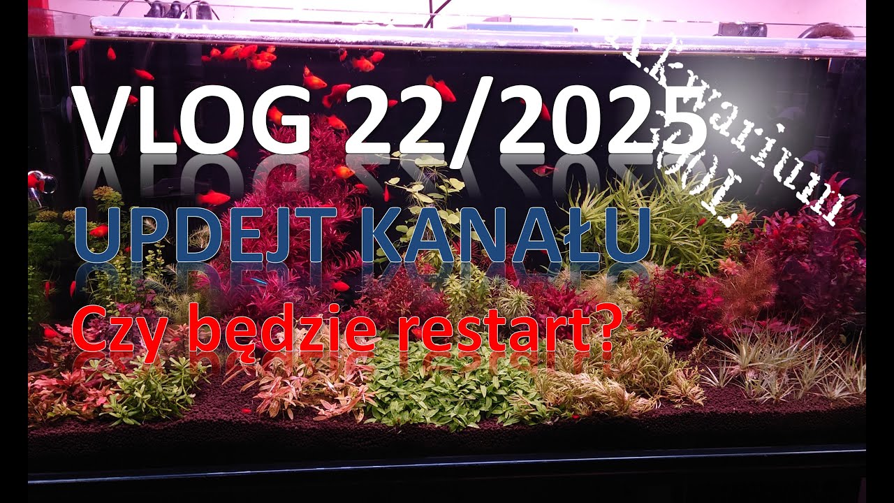 VLOG 22/2025 - UPDEJT KANAŁU. RESTART BANIAKA???