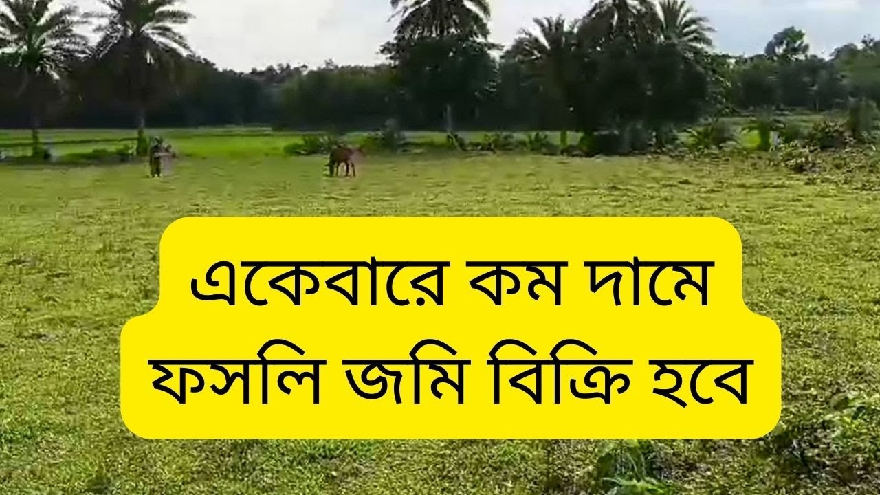 গাজীপুর শ্রীপুরে কম দামে জমি বিক্রয় | land sale Ghazipur sreepur
