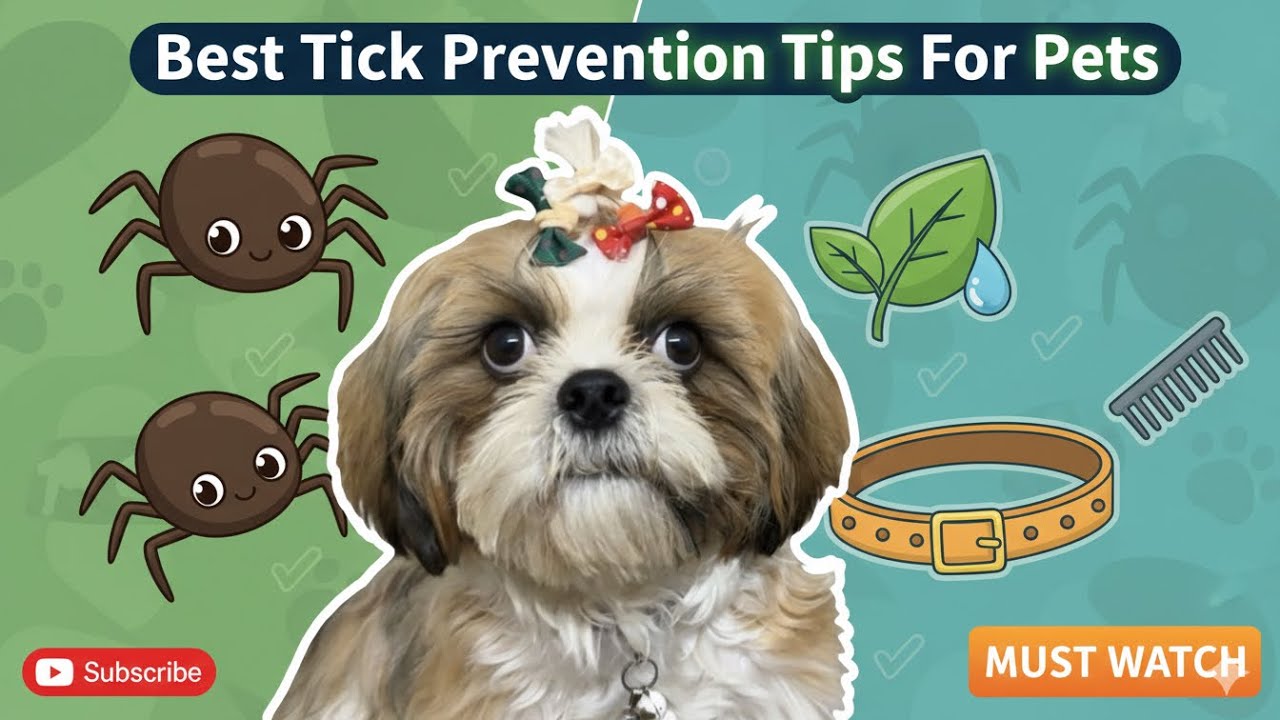 Daily Vlog 217: Tick Prevention for Dogs in India 🇮🇳 | Spot On Treatment & Dog Shoes Unboxing