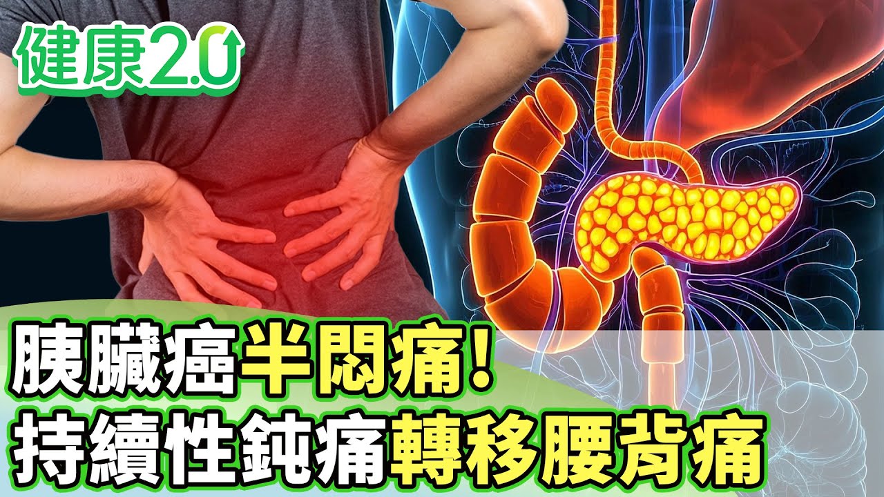 胰臟癌半悶痛！ 持續性鈍痛轉移腰背痛無法緩解 【健康2.0分段】@tvbshealth20 EP3113-1 20251026 #陳欣湄#韋汝#錢政弘#王健宇#羅珮琳#趙函穎#雷議宗