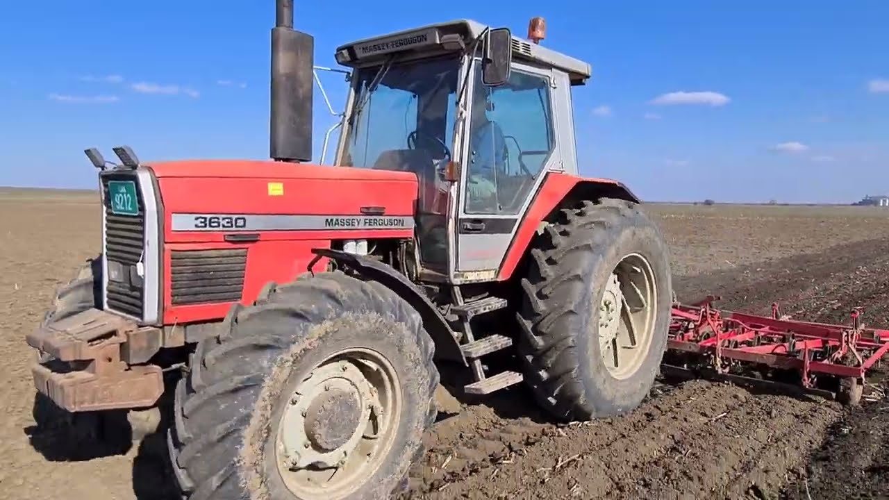 Massey Ferguson 3630 & IMT Kongskilde 5m zatvaranje zimske brazde