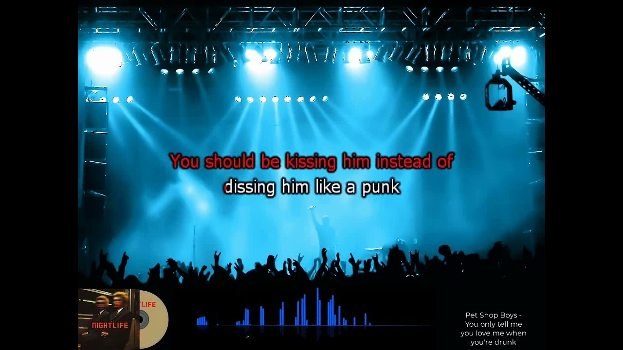 Karaoke Pet Shop Boys   You only tell me you love me when you re drunk
