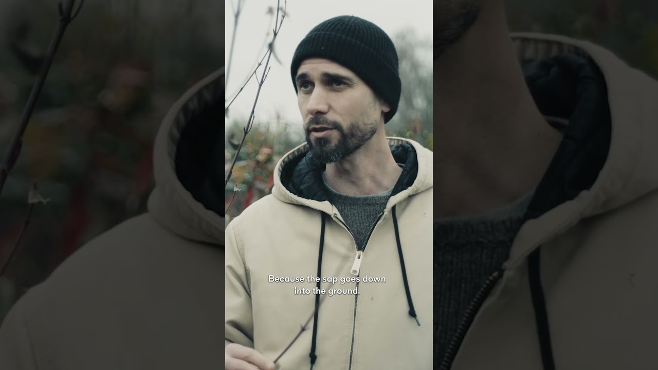 Celebrating the quiet rhythm of winter #Guerlain