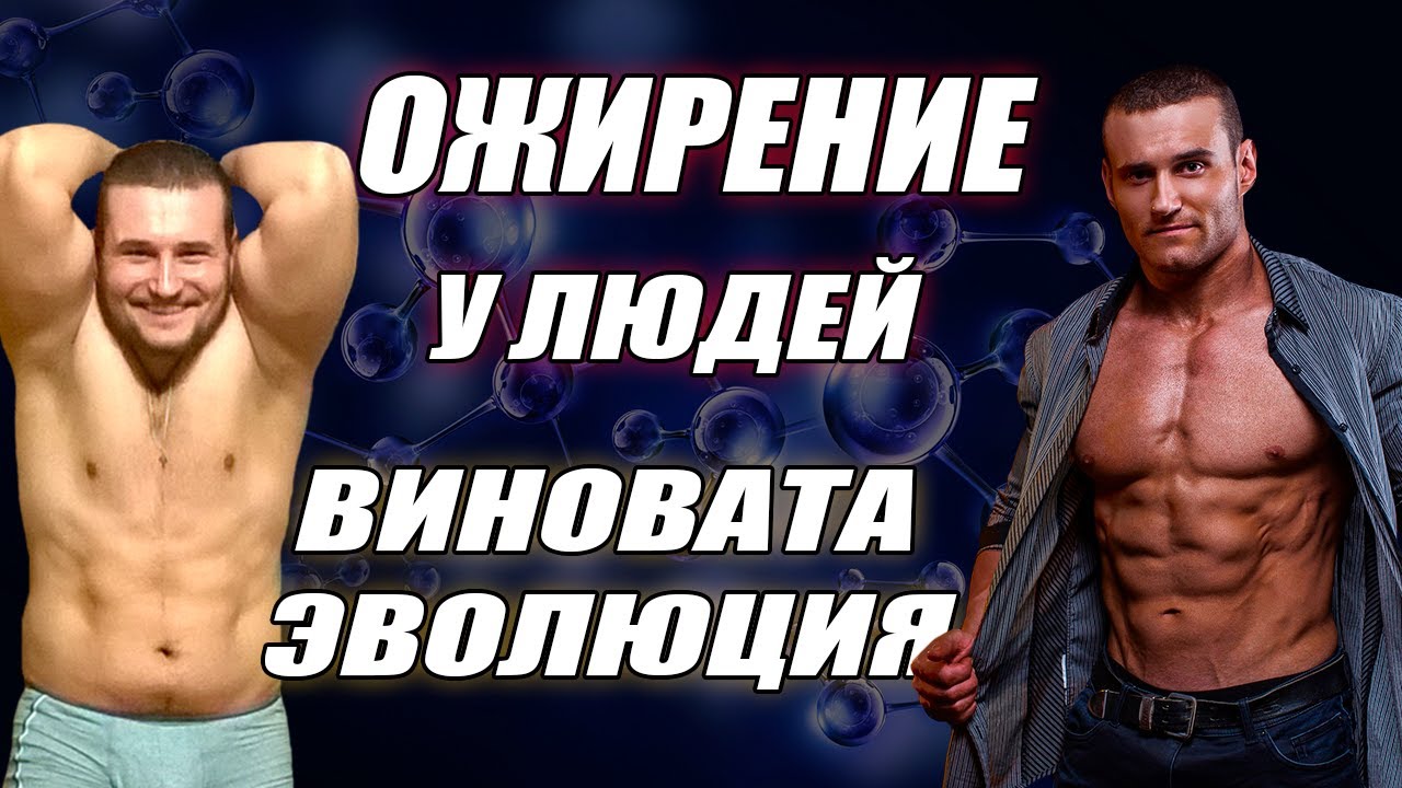 Глобальное ожирение! Эволюция и переедание в чем связь? Как быстро похудеть?