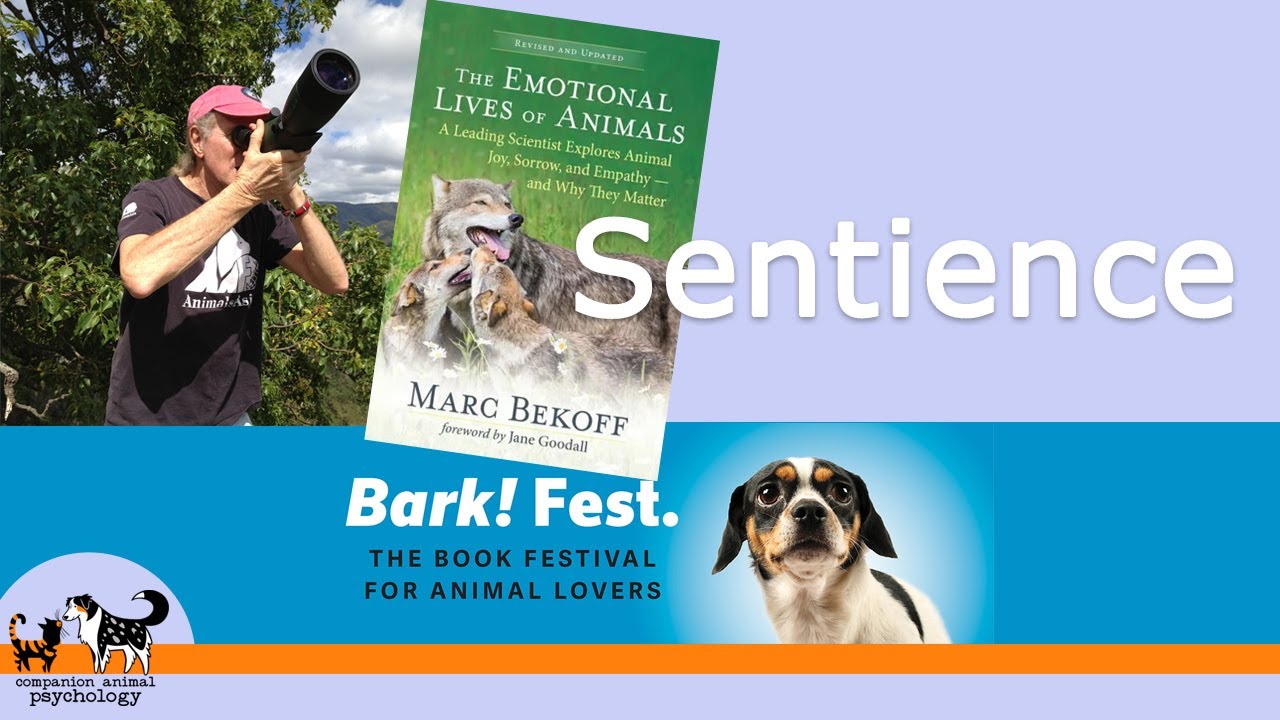 Marc Bekoff, PhD: Animal Emotions at Bark! Fest, the book festival for animal lovers