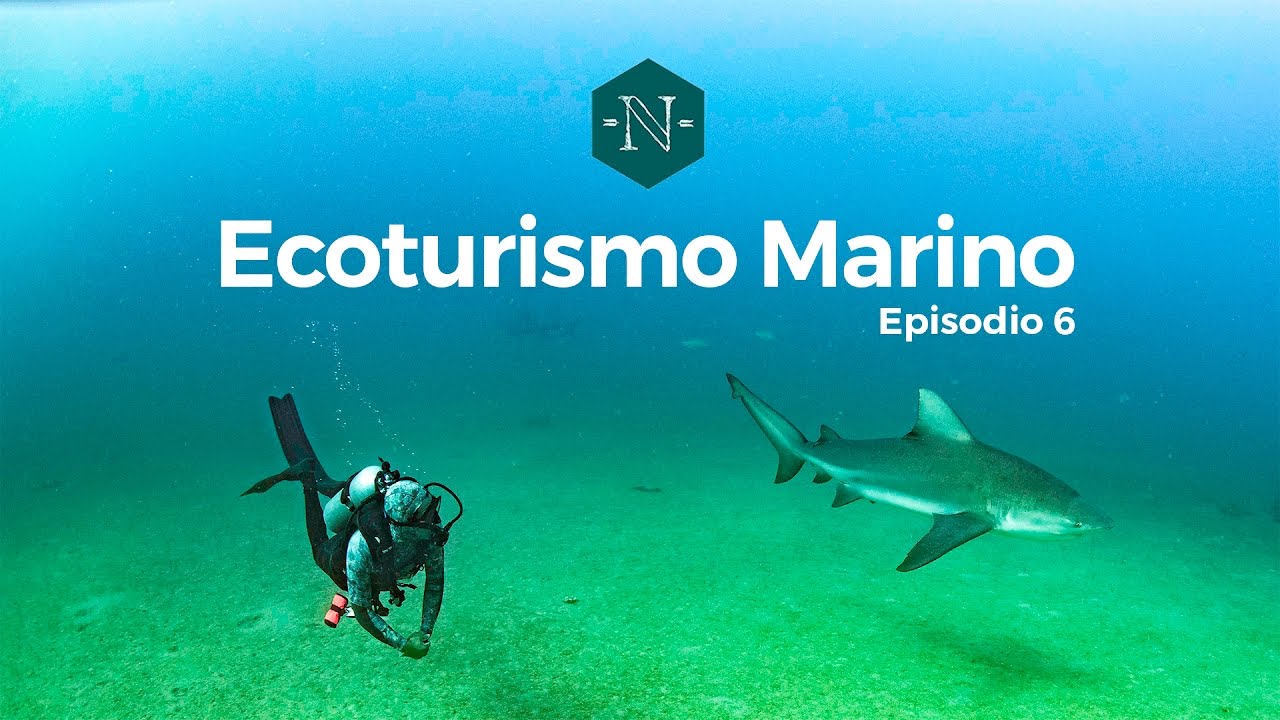 Ecoturismo Marino - Números Naturales EP 06