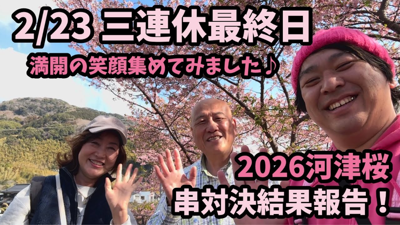 【2026河津桜】 2/23 満開の笑顔集めた　串対決結果報告　おすすめスポット　開花情報　開花状況　ライブカメラ kawazu Cherry blossom sakura 開花
