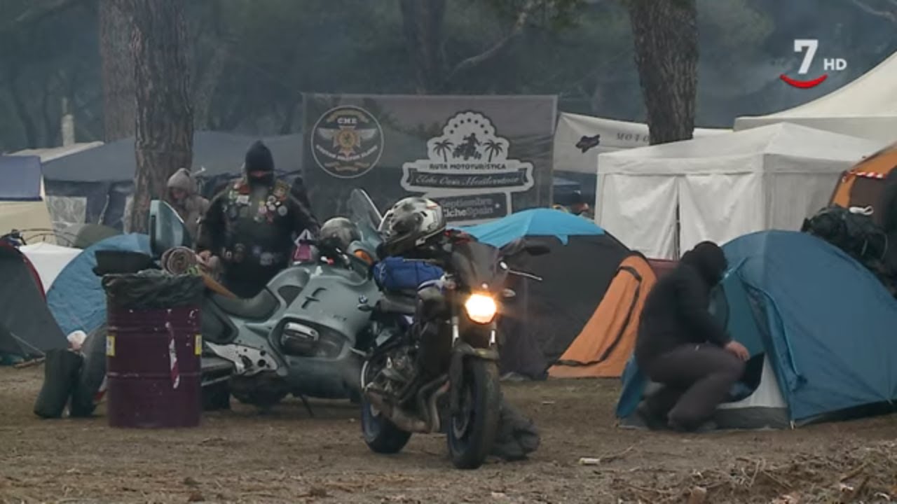 Especial Pingüinos 2019
