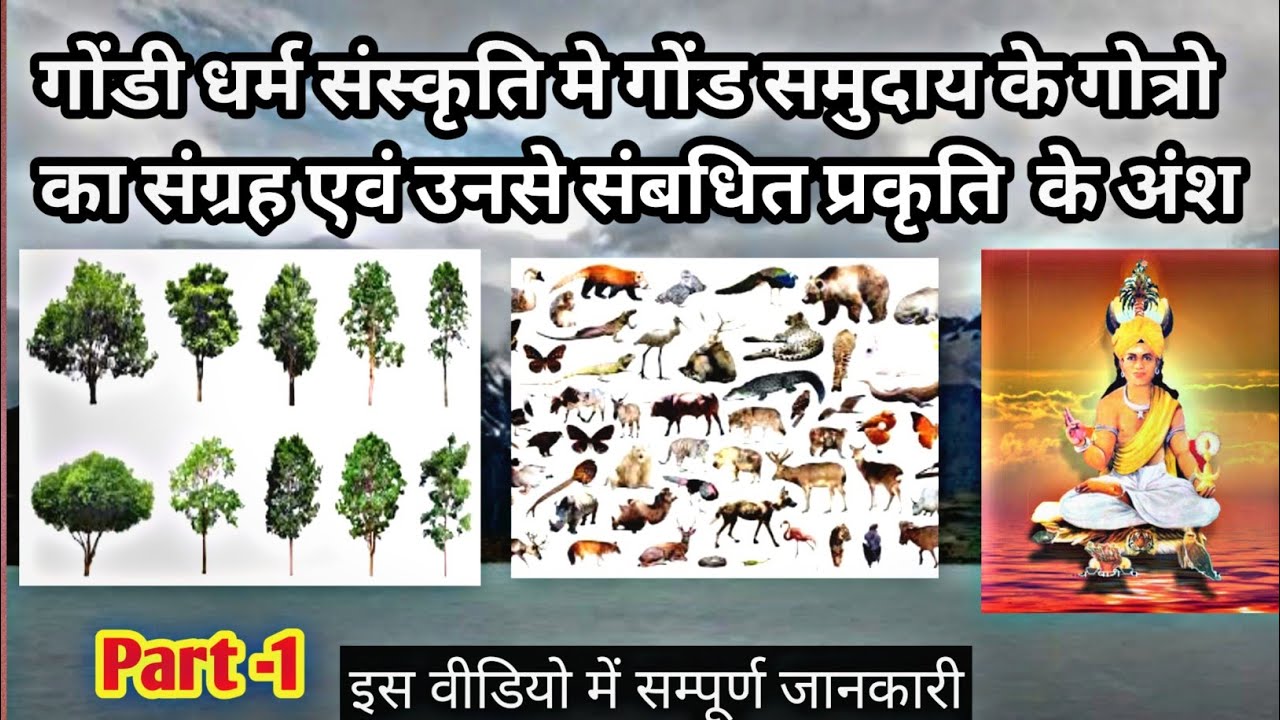 गोंड समुदाय के गोत्र नाम प्रकृति मे किस चीज से संबधित है ? जाने इस वीडियो मे