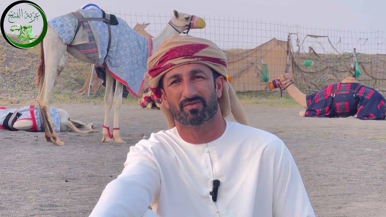 لقاءات ناريه🔥 مع ملاك و مضمرين الهجن و اخر استعداداتهم لـ شارة العيد بميدان صحار لسباقات الهجن