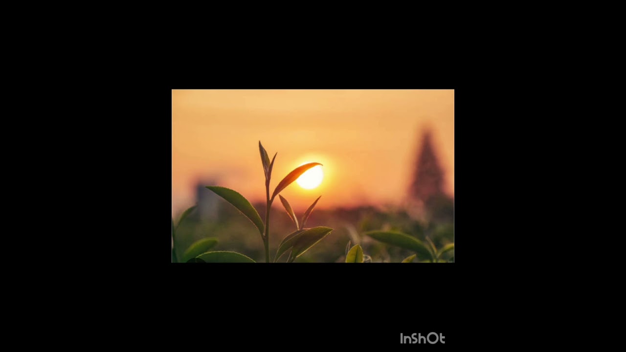  ho'oponopono prayer বাংলায়