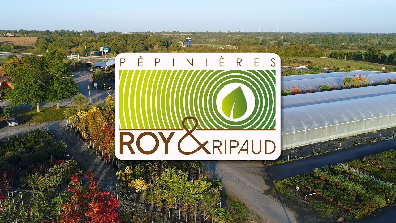 PEPINIERES ROY RIPAUD FULL HD 1080p