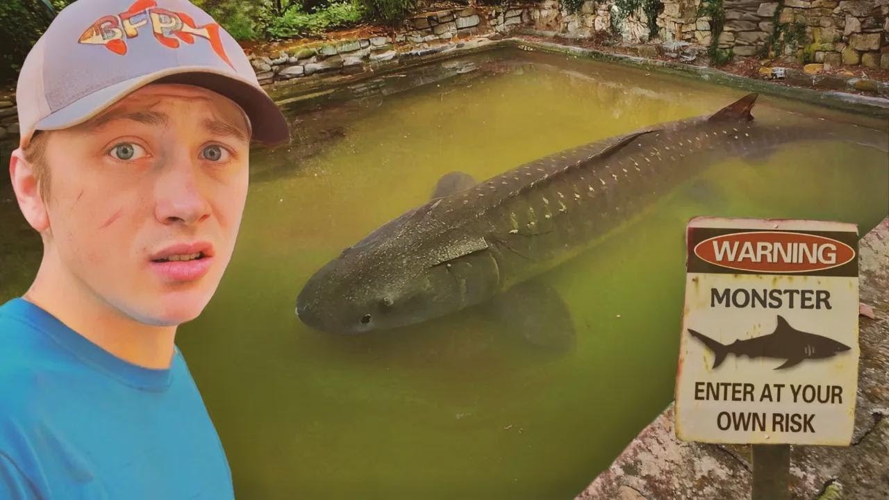 Я нашёл заброшенный бассейн, полный гигантских рыб!