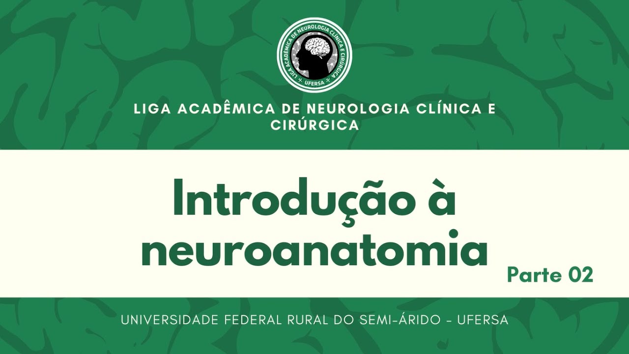 Introdução à Neuroanatomia: parte 02 - Aula 02 LANCC