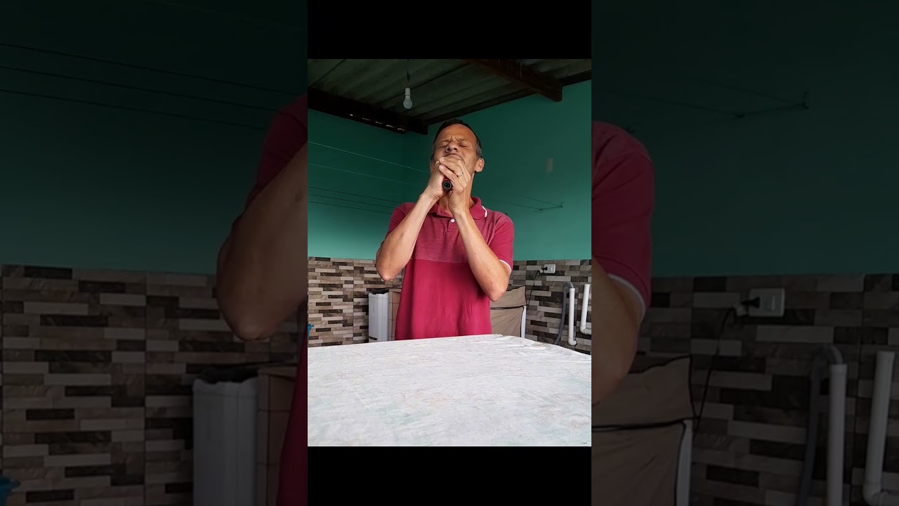 Antonio Carlos - É Por Você Que Canto (Leandro e Leonardo)