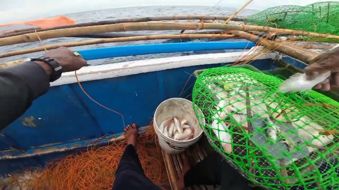 Ep9: solo fishing gamit ang bobo pang bisogo