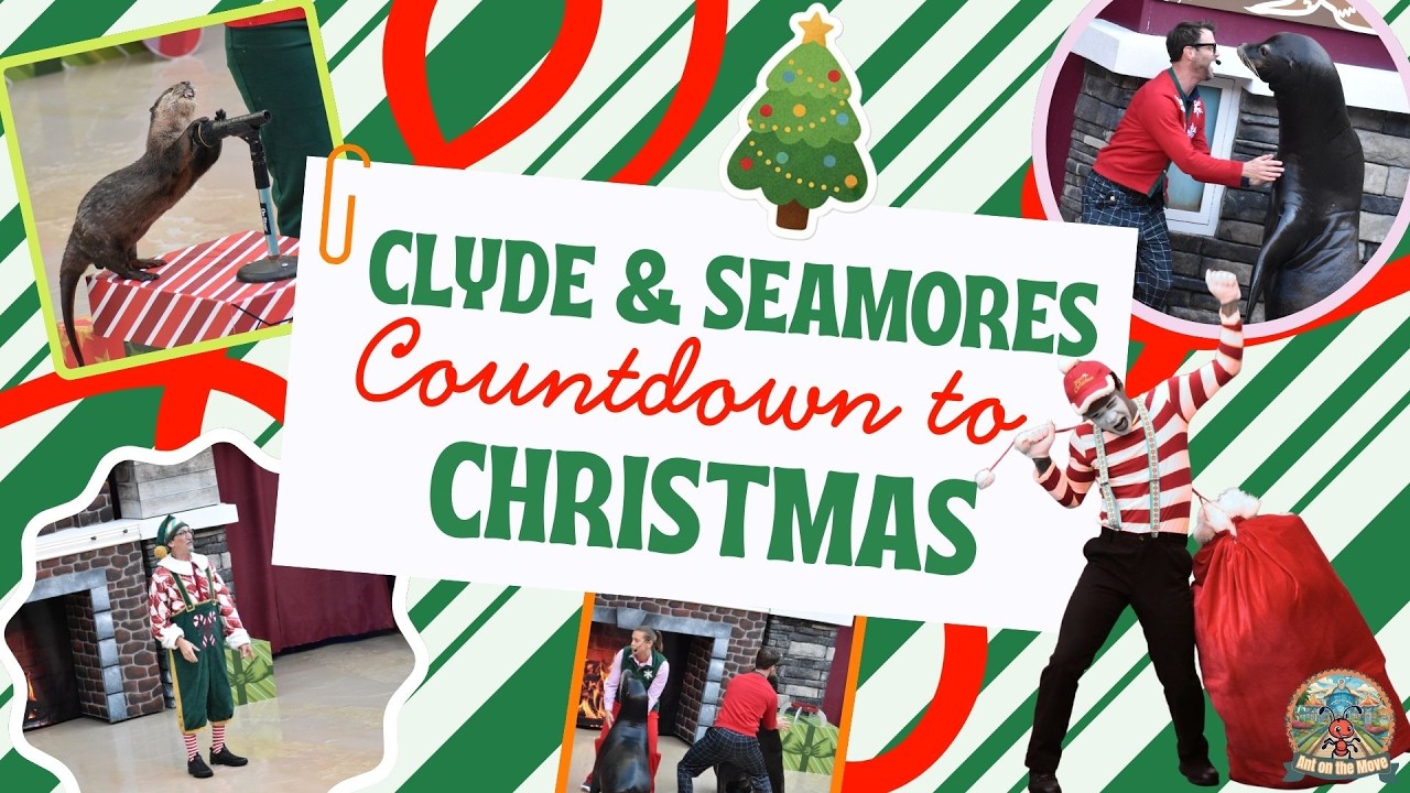 Sea Lion and Otter Countdown to Christmas (Full Show)