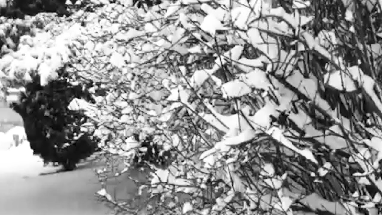 Philip Solo X Golden BSP - Snowblind (Official Audio)