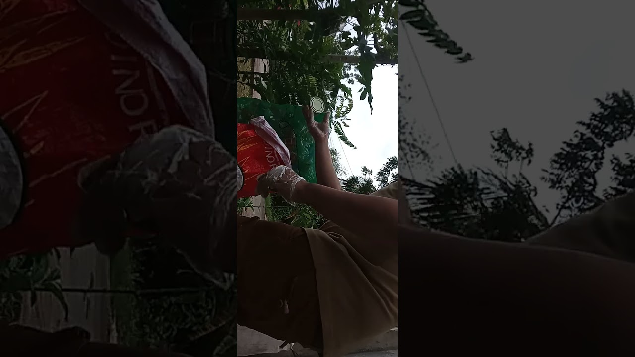 Cleaning Trash to Save Our Planet 🌍 Picking Up Cans & Plastic Bottles for Change ♻️✨