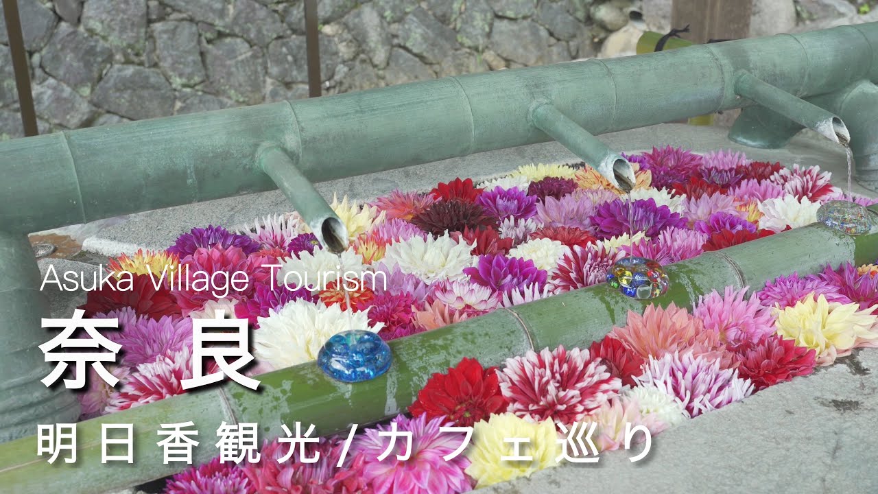 【奈良vlog】明日香にある綺麗すぎるお寺｜明日香カフェ巡りvlog