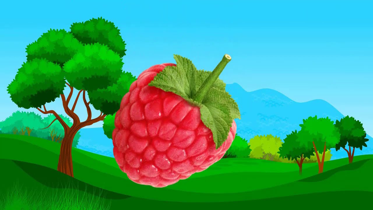 Quả gì đây|Từ vựng tiếng Việt -  Anh theo chủ đề|Các loại Quả|Fruits