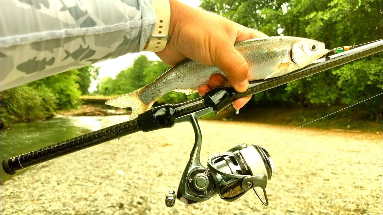 შამაია სპინინგით. სასიამოვნო გასვლა იქნებოდა, თუ ბრაკებს არ გაენადგურებინათ იქაურობა 😡