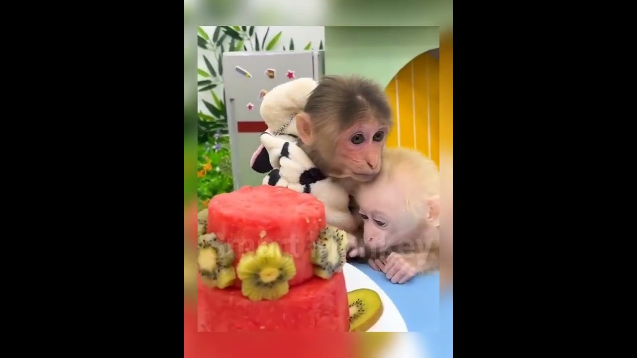 Have fun and enjoy and explore all this together with the smart monkey watch Smart Monkey💖