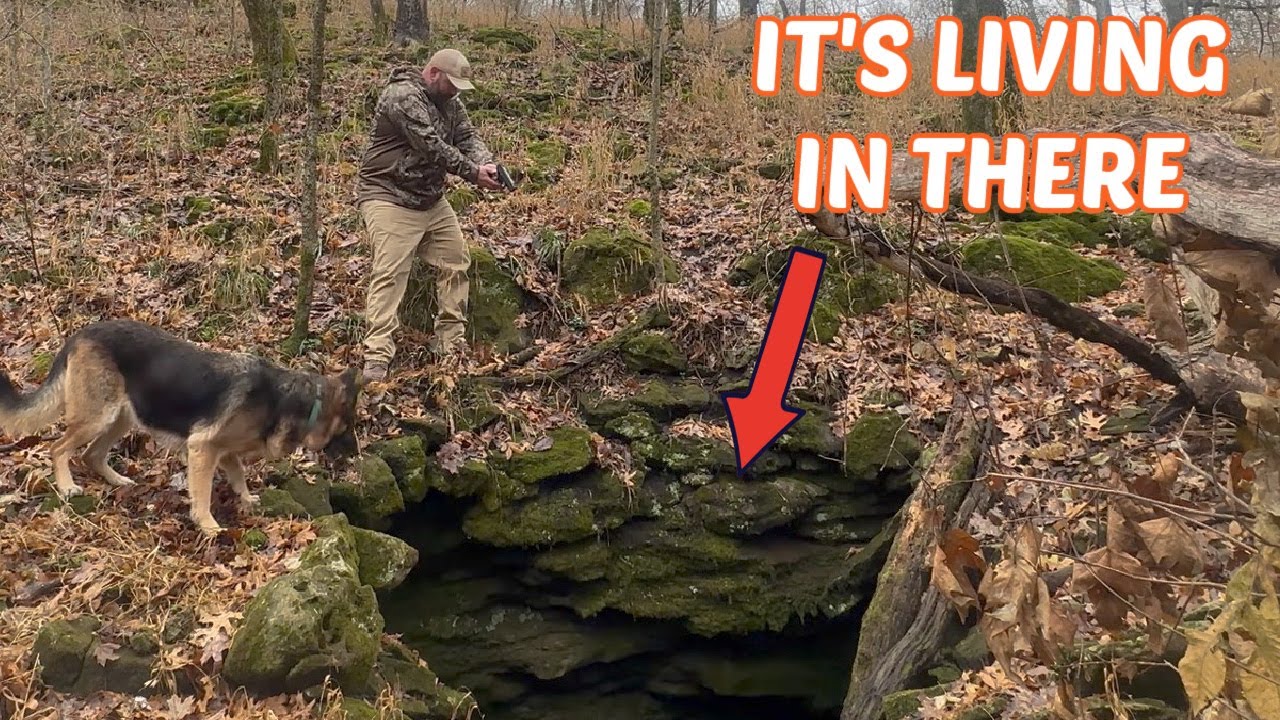 GET BACK! It’s Living In The Cave On Our Private Property