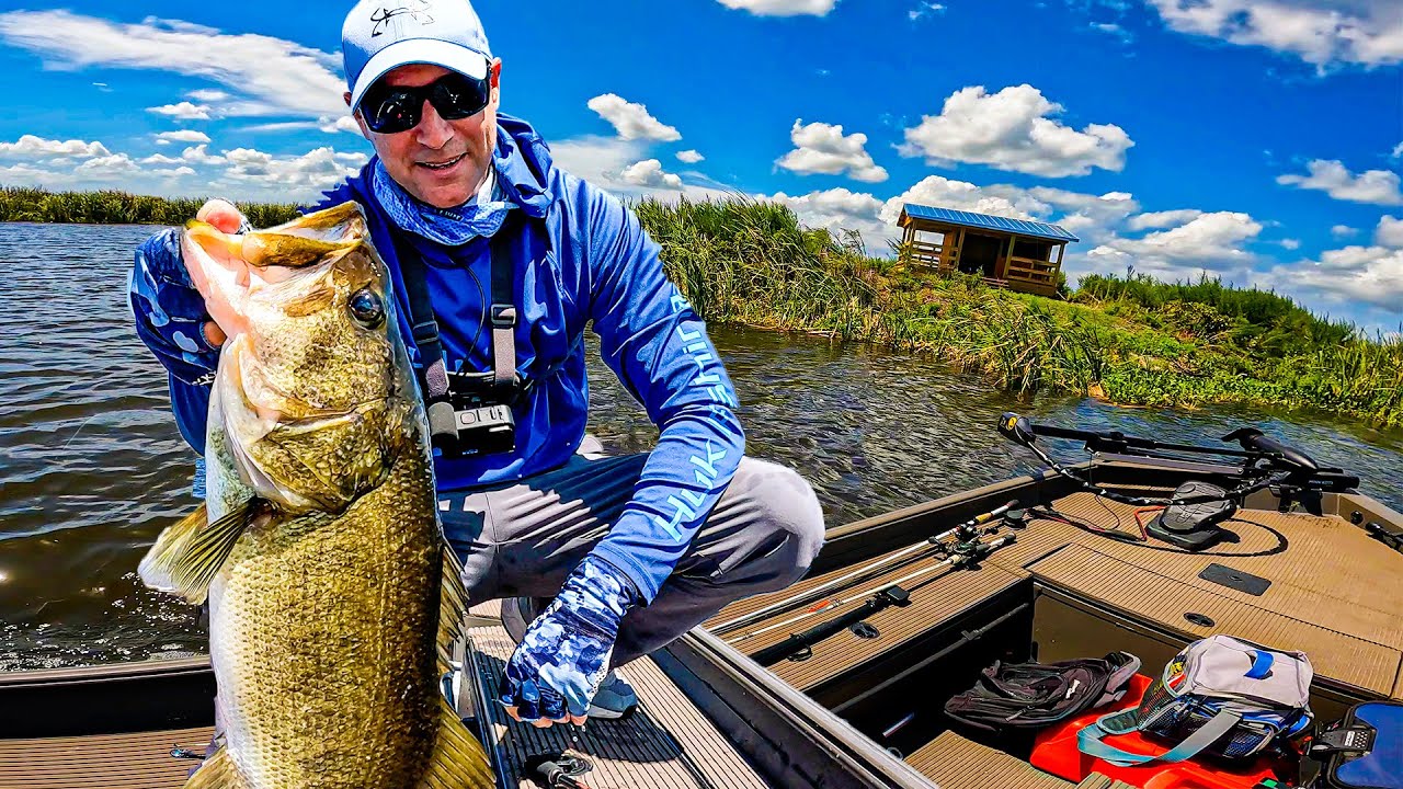 Headwaters Lake Bass Fishing with Shiners: Tips, Tricks, and Epic Catches!