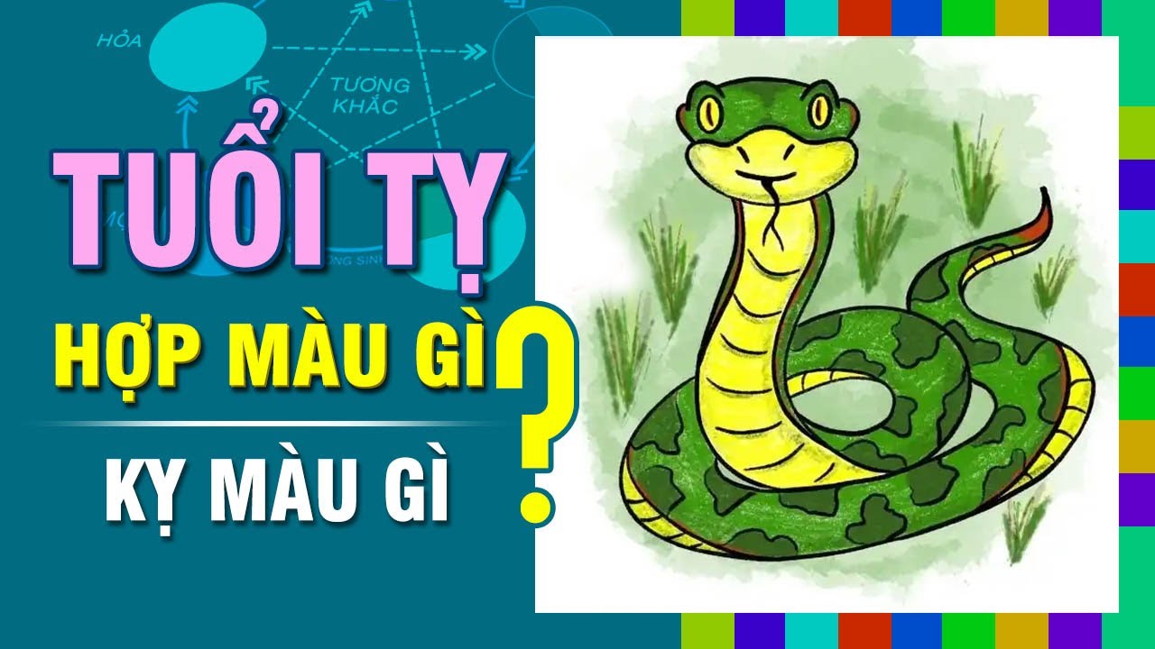 TUỔI TỴ Hợp M&Agrave;U G&Igrave;? Kỵ M&agrave;u N&agrave;o Nhất? Chọn M&agrave;u Sắc Đ&uacute;ng Phong Thủy Để Đ&oacute;n May Mắn
