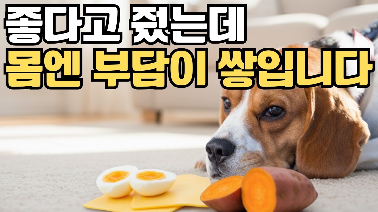 강아지에게 독이 될 수 있는 사람 음식 7가지!