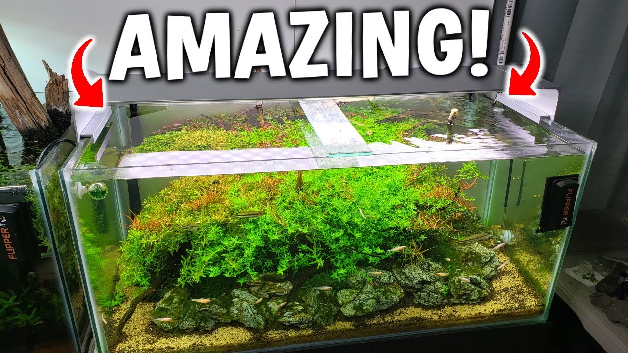 MOST STYLISH HIGH TECH AQUARIUM LED FOR YOUR PLANTED TANK!? - ONF FLAT ONE