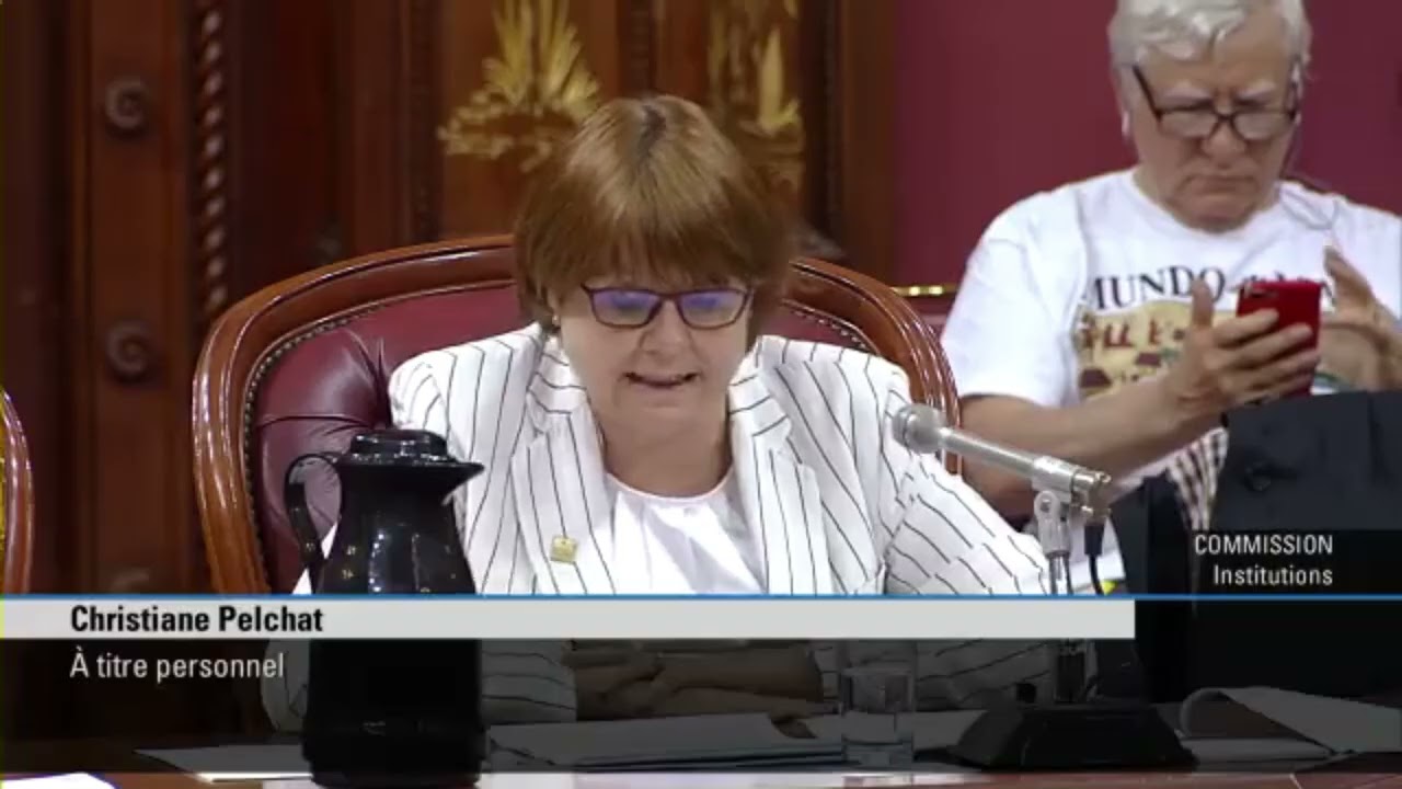 Commission parlementaire sur le projet de loi 21 - Christiane Pelchat - 9 mai 2019