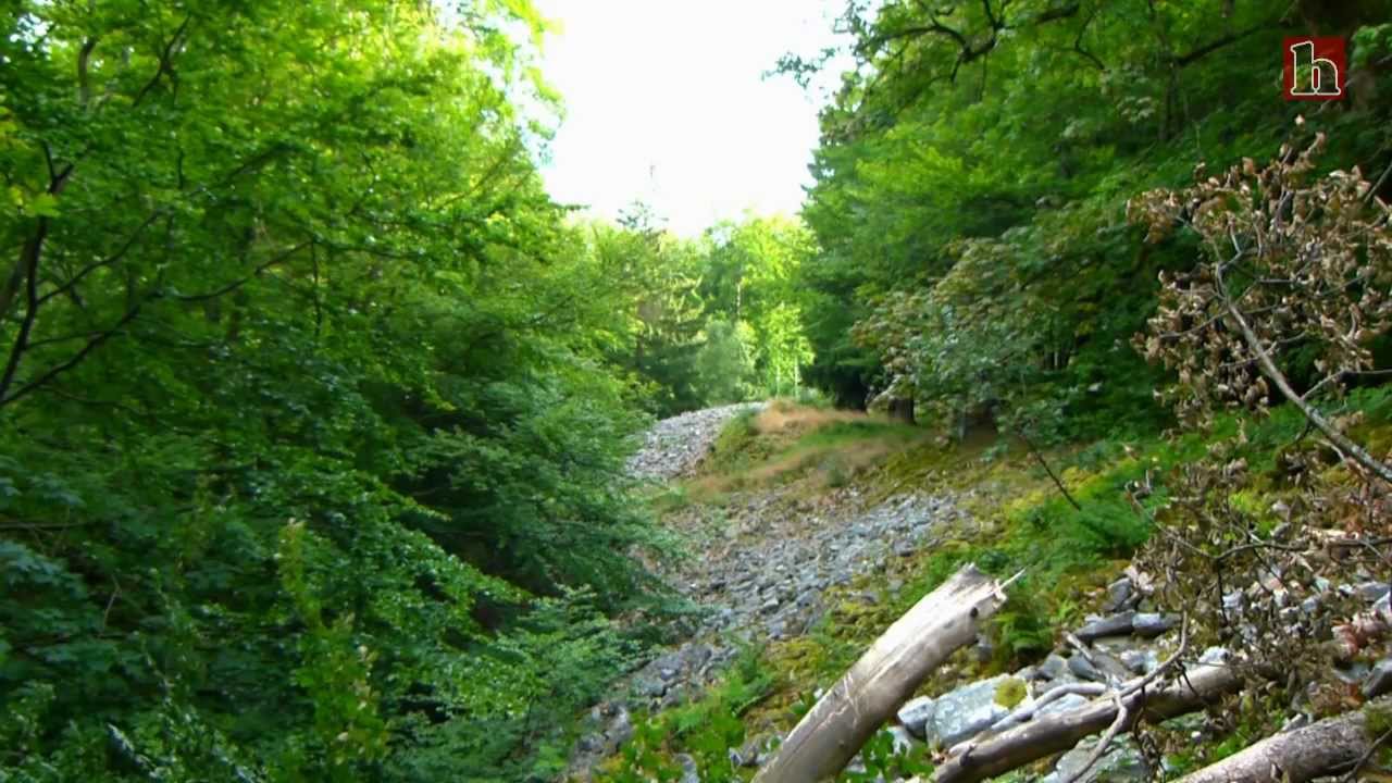 Keltischer Ringwall Otzenhausen - Hunnenring