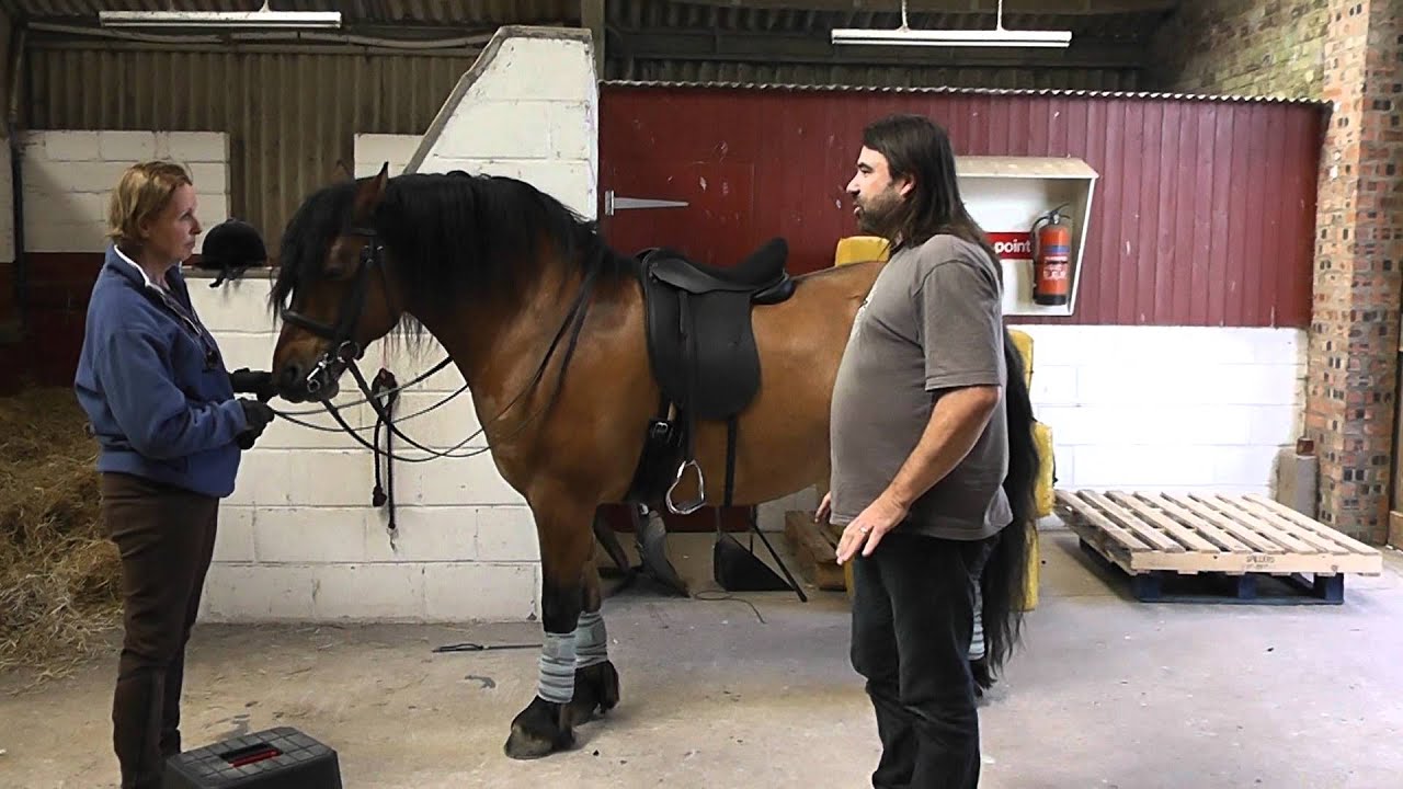 Dressage Saddles for Native Ponies, Wide Horses & Cobs