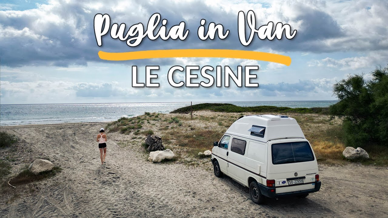 Da soli in una spiaggia pazzesca 😍 PUGLIA in VAN in sosta libera 🚐 Riserva Le Cesine