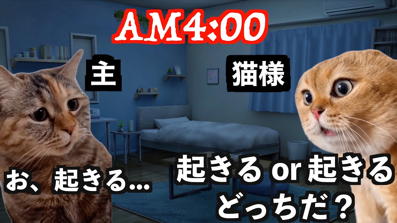 【猫ミーム】猫を飼うと休日がこうなるという、いたって幸せな話。
