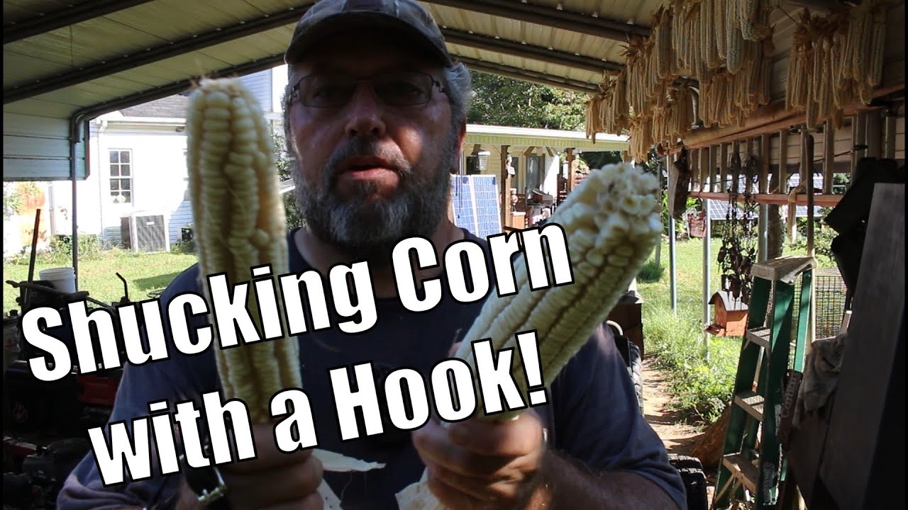 Очистка кукурузы от початков с помощью крючка