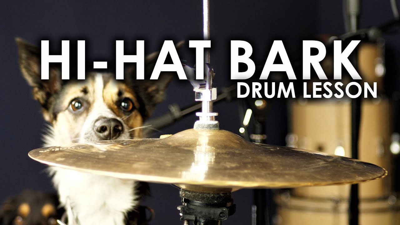 Perfect Your Hi-Hat Bark! | Drum Dog