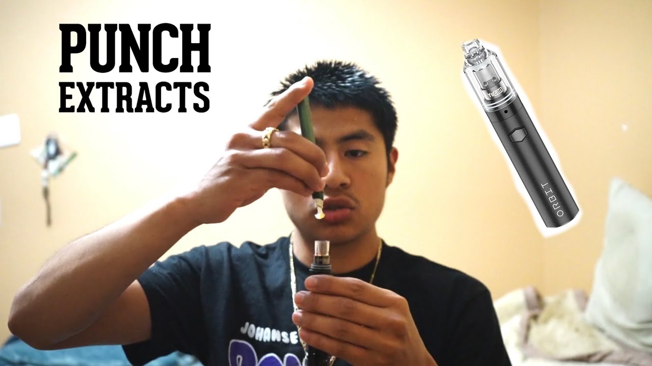 Is PUNCH EXTRACTS worth the hype???