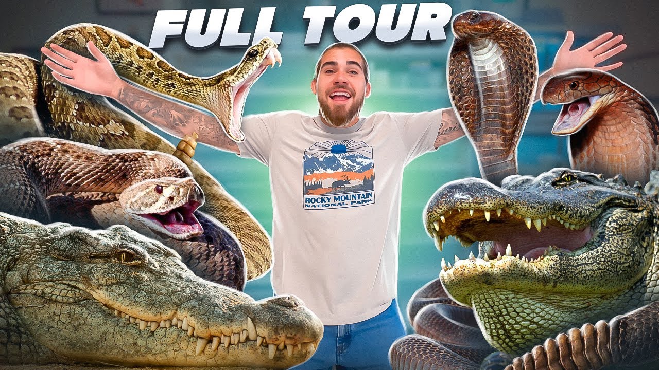 FULL TOUR Of My VENOMOUS SNAKE and CROCODILE Collection!!!