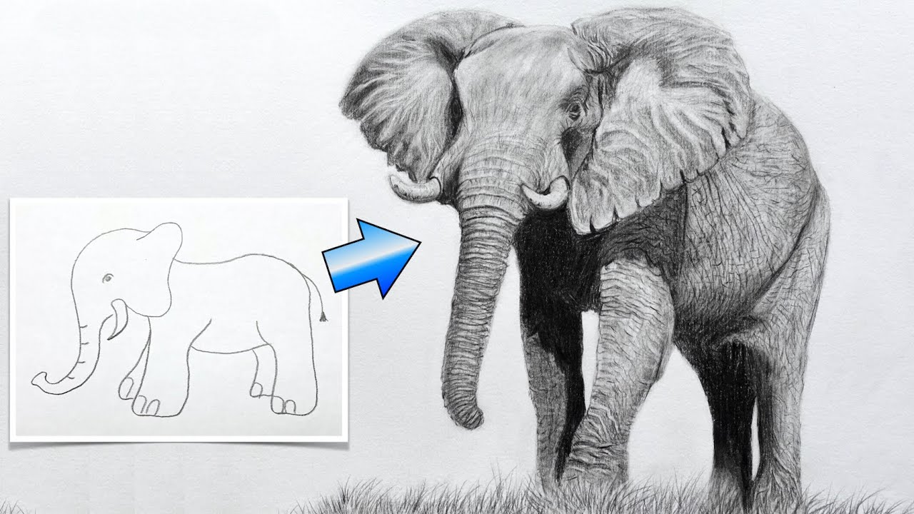 Zeichne einen REALISTISCHEN ELEFANT - TUTORIAL - Zeichnen lernen helfen