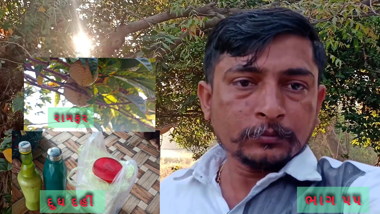પ્રકૃતિ ના ખોરે થી અમદાવાદ શહેરમાં આજે ઘર માલિક રહેવા માટે આવ્યા ૨૦૨૬ ભાગ ૫૫