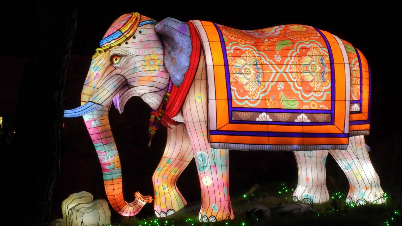 Light Safari 2025 Beekse BergenMovie