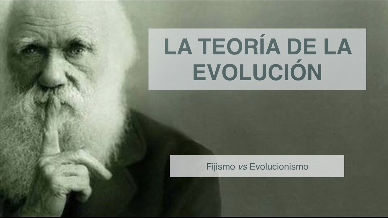 Evoluci&oacute;n vs fijismo - Biolog&iacute;a - 4eso
